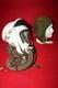 Astronaut Helmet Pilot High Altitude Sealed Helmet 1# $299.9