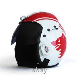 HGU-33 Wolfpack Flight Helmet Movie Prop of USN United States Navy Pilot Aviator