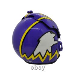 Hgu-33 Top Gun Cougar Fighter Pilot Flight Helmet Movie Prop Usn