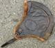 WWII Imperial Japanese Navy Pilot Flight Helmet Late Model Vintage Military JPN